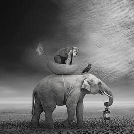 ... .. by Beata Bieniak