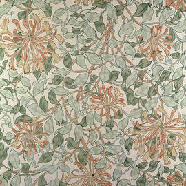 Honeysuckle Design by William Morris