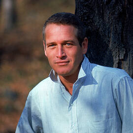Paul Newman by Mark Kauffman