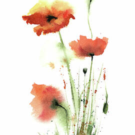 Poppies by Olga Tchefranov