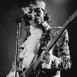 Prince Close-Up by DMI