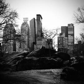 Central Park by Eli Maier