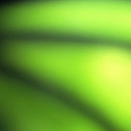 Abstract by Tony Cordoza