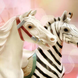 A Close Race by Amy Tyler