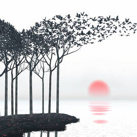 Aki by Cynthia Decker