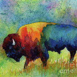 American Buffalo III by Hailey E Herrera
