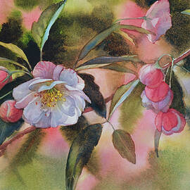 Apple Blossoms by Svetlana Orinko