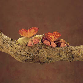 Autumn Fairies by Anne Geddes