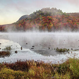 Autumn Morning Mist at Mont Orford
