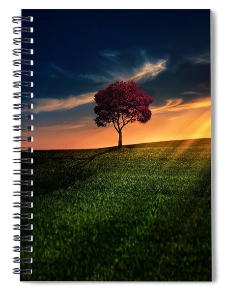 Solitary Tree at Sunset Spiral Notebook