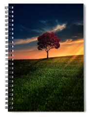 Sunset Spiral Notebooks for Sale