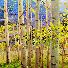 Beauty of Aspen Colorado by Gary Kim