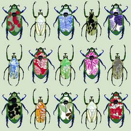 Beetledrive, 2008 by Sarah Hough