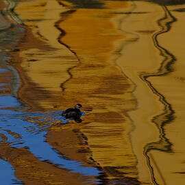 Bird by New Impressionist