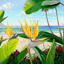 Birds of Paradise by Steve Simon