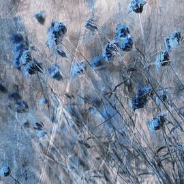 Blue Flowers by Delphine Devos