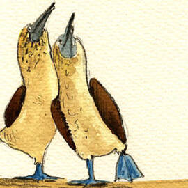 Blue footed boobies by Juan  Bosco