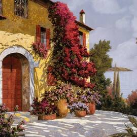 bouganville by Guido Borelli