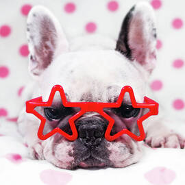Bulldog With Star Glasses by Retales Botijero