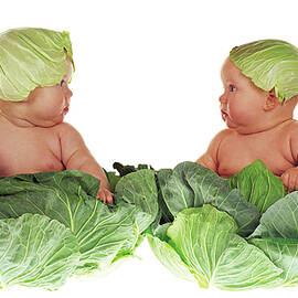 Cabbage Kids by Anne Geddes