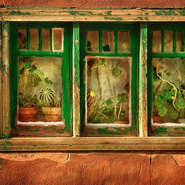 Cactus Window by Keith Berr 