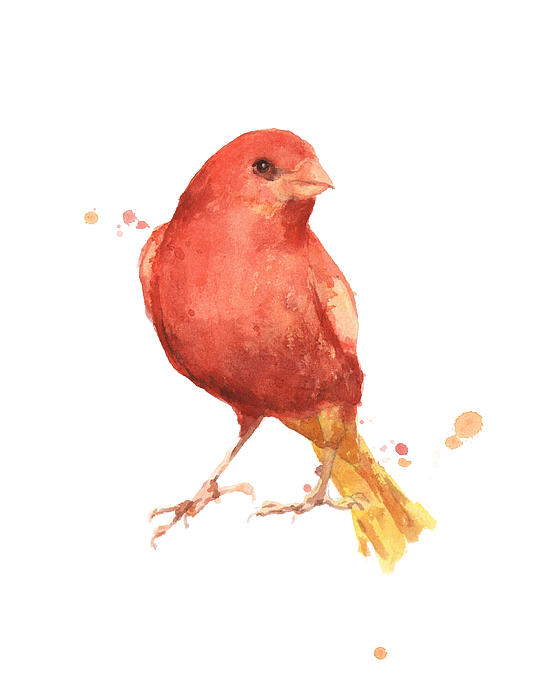 Canary Art for Sale