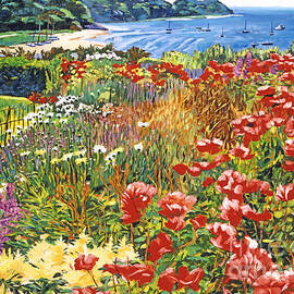 Cape Cod Ocean Garden by David Lloyd Glover