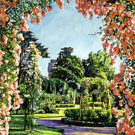 Castle Rose Garden by David Lloyd Glover