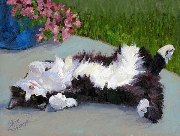 Relaxed Cat in the Sun Wall Art