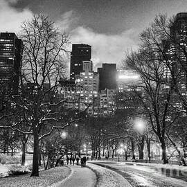Central Park View by John Farnan