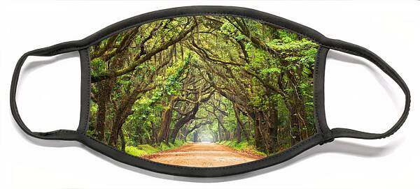 Serene Forest Pathway Face Mask
