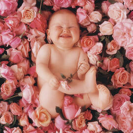 Cheesecake by Anne Geddes