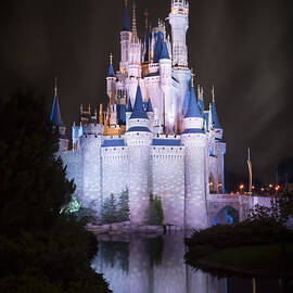 Cinderella's Castle Reflection by Adam Romanowicz