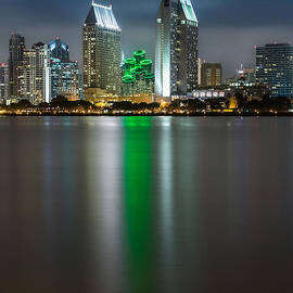 City of San Diego Skyline 3 by Larry Marshall