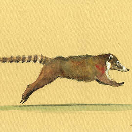Coati coatimundi animal drawing by Juan  Bosco