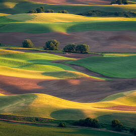 Colorful Palouse by Gerald Macua