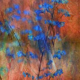 Colors Dance On Flowers by Delphine Devos