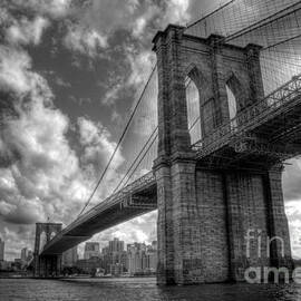 Connect by Johnny Lam