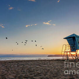 Coronado beach sunset in San Diego, seagulls and lifeguard tower by Delphimages Photo Creations