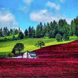 Crimson Fields - Color