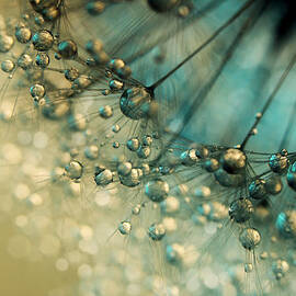 Delicious Dandy Drops by Sharon Johnstone