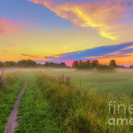 Early morning 4 by Veikko Suikkanen