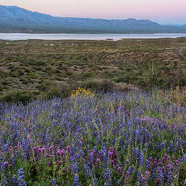 Eartth shadow at sunset over Roosevelt Lake by Dave Dilli