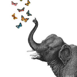 Elephant blowing butterflies by Madame Memento