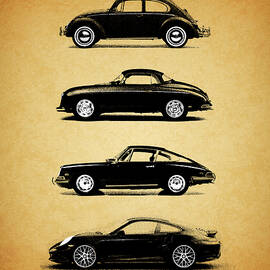 Evolution by Mark Rogan