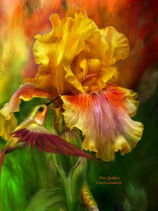 Iris Art for Sale