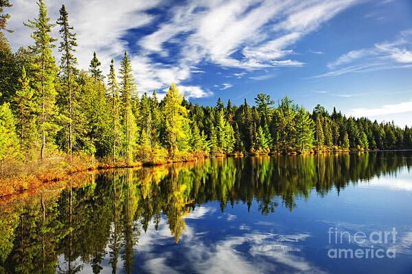 Serene Forest Lake Reflection Wall Art