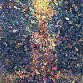 Fragmented Flame by James W Johnson