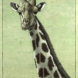 Giraffe by James W Johnson