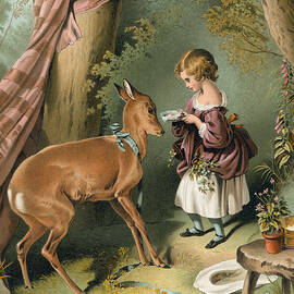 Girl Feeding A Deer by Edwin Landseer